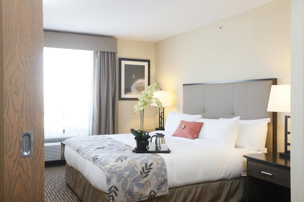 Pomeroy Inn & Suites At Olds College Chambre photo